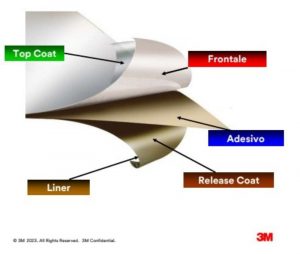 anatomia etichetta 3M durevole